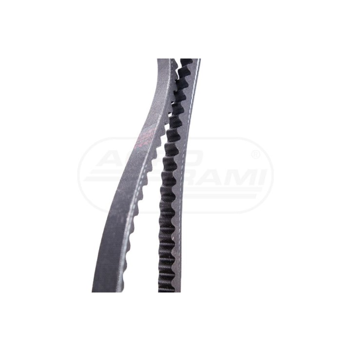 Pas 71/144-10253 , AVX13x1025mm 144-10253 , 01180467 , 01175933