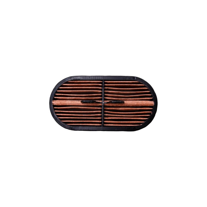 Filtr powietrza AF-26655  60/162-282 , 60/162-373 87356353 , P600975 , 87037985,