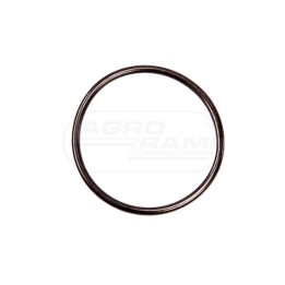 O-ring 1006234M1