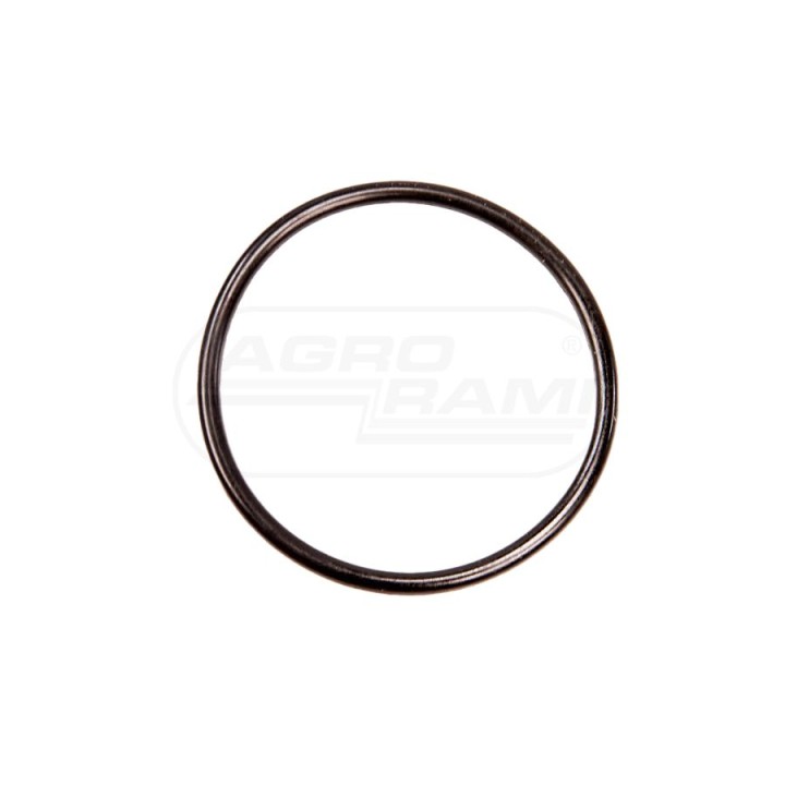 O-ring 1006234M1