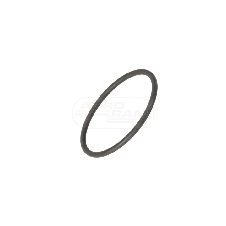 O-ring 47499928 Case IH