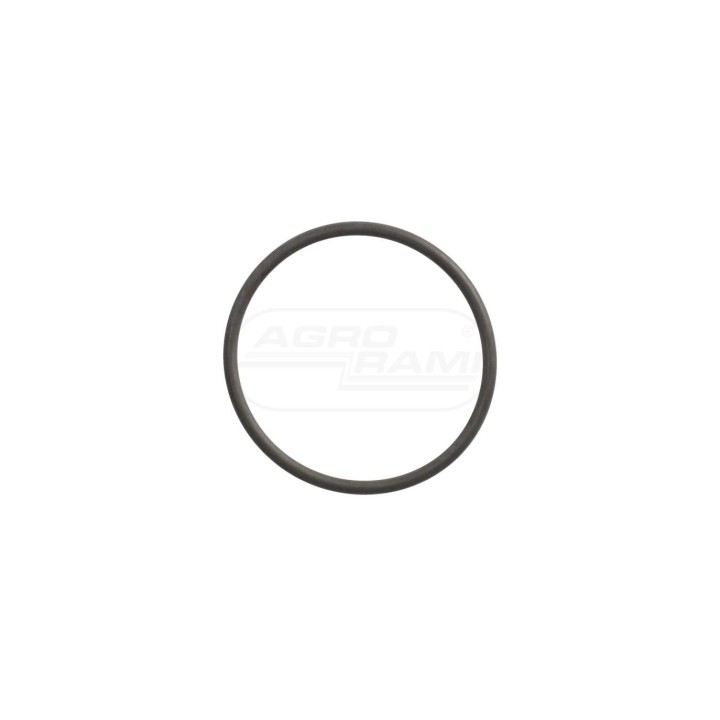 O-ring 47499928 Case IH