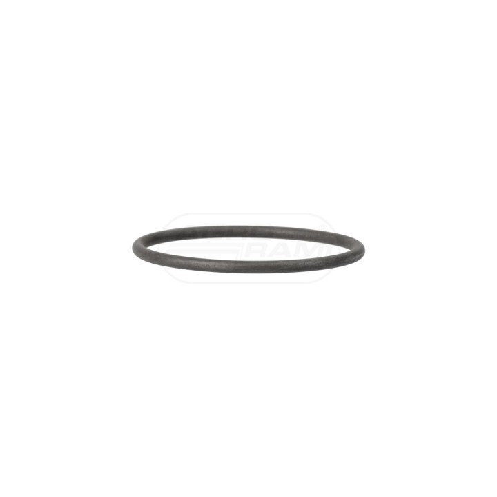 O-ring 47499928 Case IH