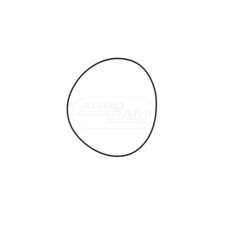 O-RING 14462280 Case IH