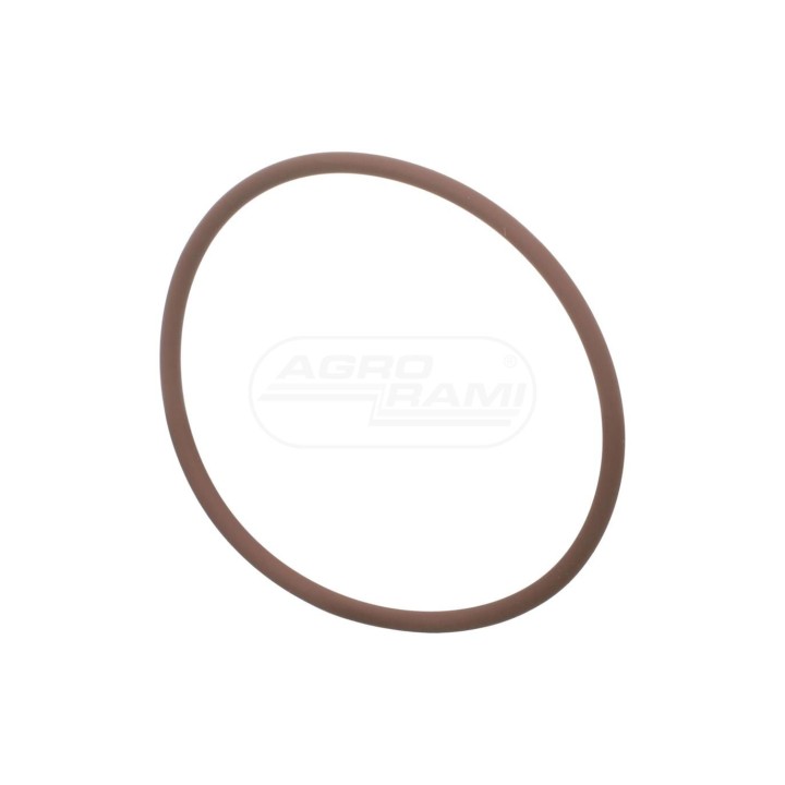 O-ring 17290581 Case IH