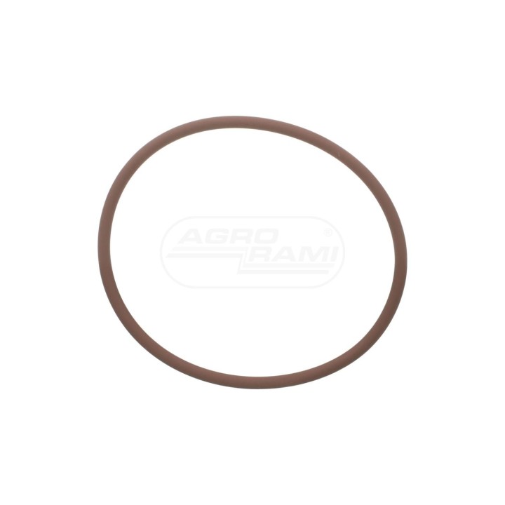 O-ring 17290581 Case IH