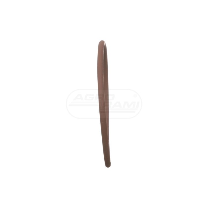 O-ring 17290581 Case IH