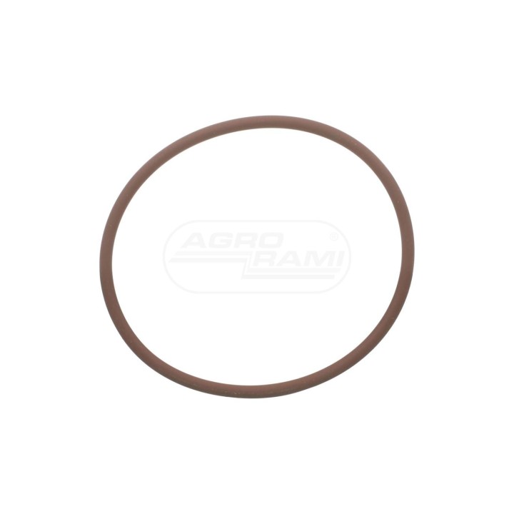O-ring 17290581 Case IH