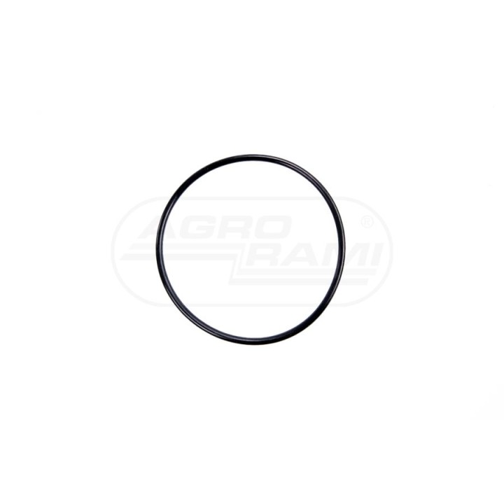 O-ring 378231X1