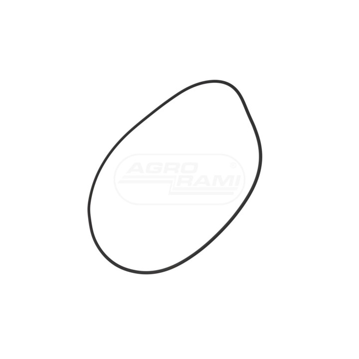 O-RING 9823349 Case IH