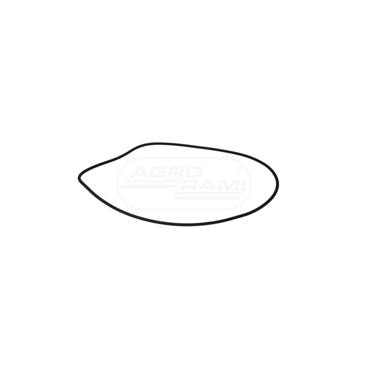 O-RING 9823349 Case IH