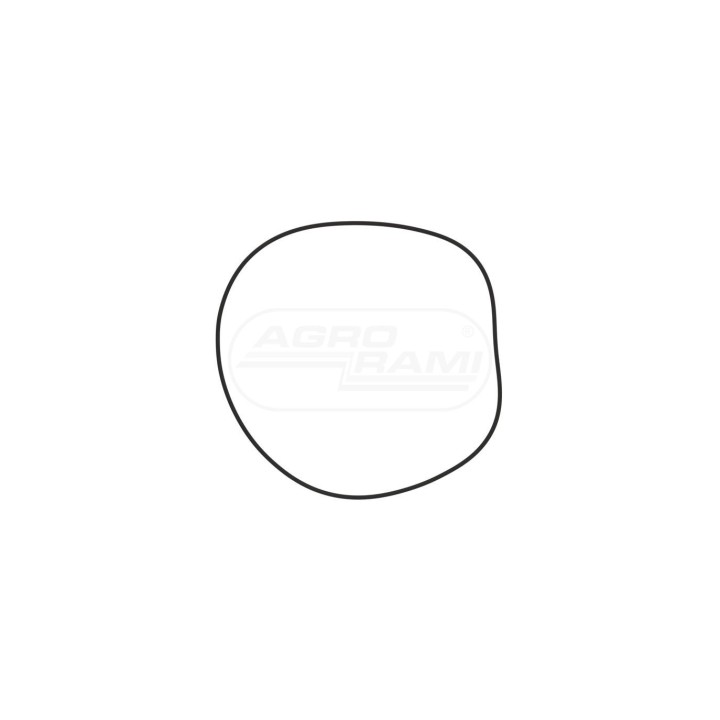 O-RING 9823349 Case IH