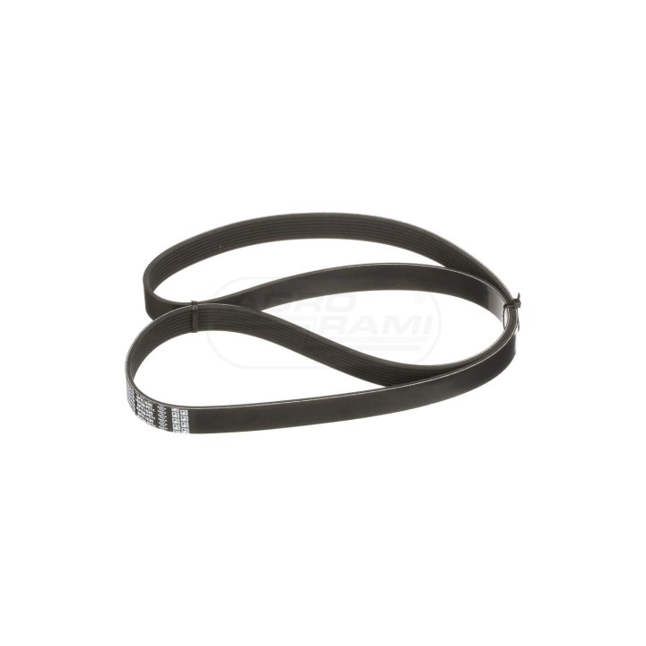 PAS,1622.00 mm L, 8 Ribs 5802350478 Case IH