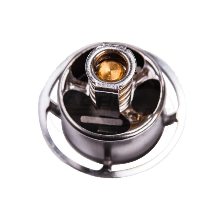 Termostat TCD2013 04908226, 04911831