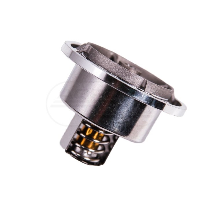 Termostat TCD2013 04908226, 04911831