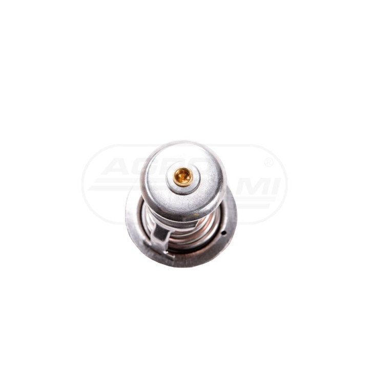 Termostat cieczy chłodzącej 1A02173012, 1G924-7310