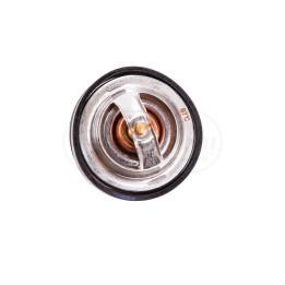 Termostat cieczy chłodzącej F1192000500040 04224841, 04224846