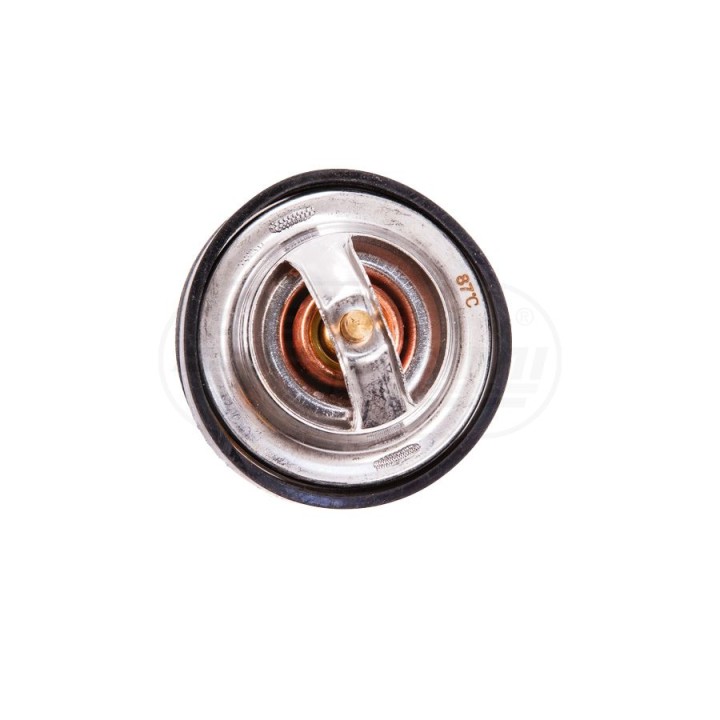 Termostat cieczy chłodzącej F1192000500040 04224841, 04224846