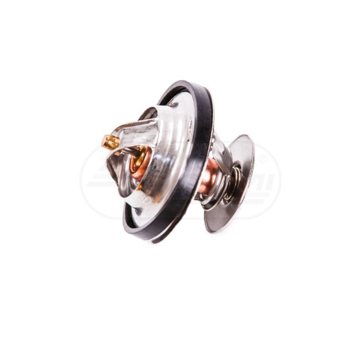Termostat cieczy chłodzącej F1192000500040 04224841, 04224846