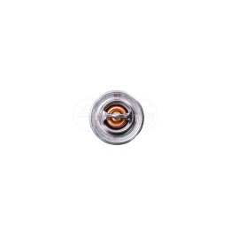 Termostat cieczy chłodzącej D8NN8575AA , 81805714 , 81805714