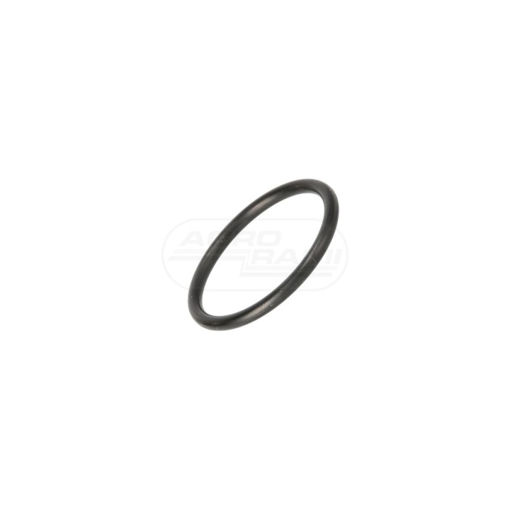 O-ring 17289480, S82242, P1755626, 76043676 Case IH