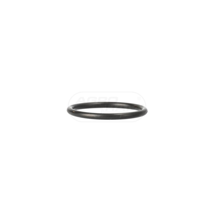O-ring 17289480, S82242, P1755626, 76043676 Case IH