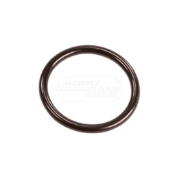 O-ring 47547879 Case IH
