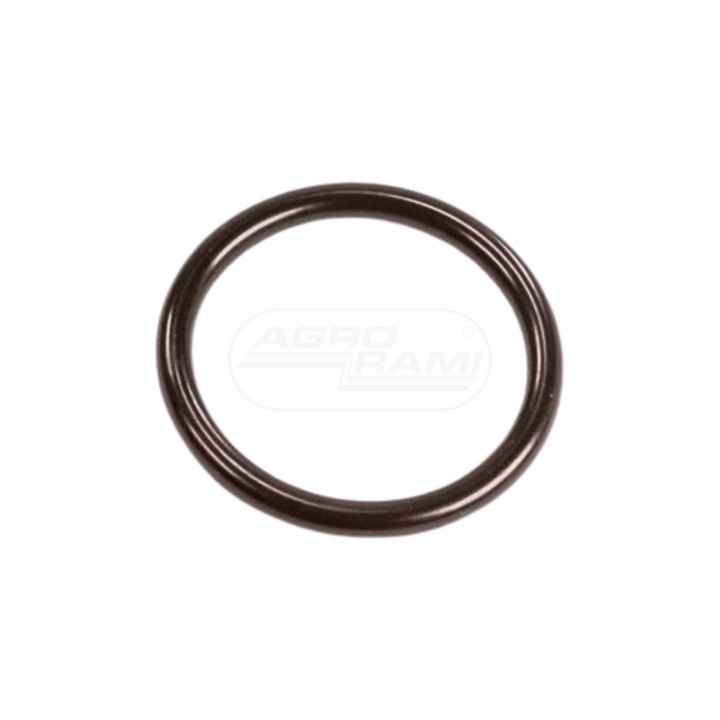 O-ring 47547879 Case IH