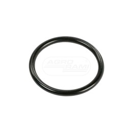 O-ring 47547856 Case IH