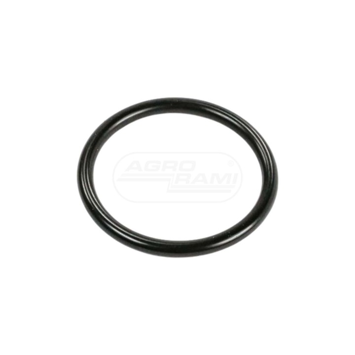 O-ring 47547856 Case IH