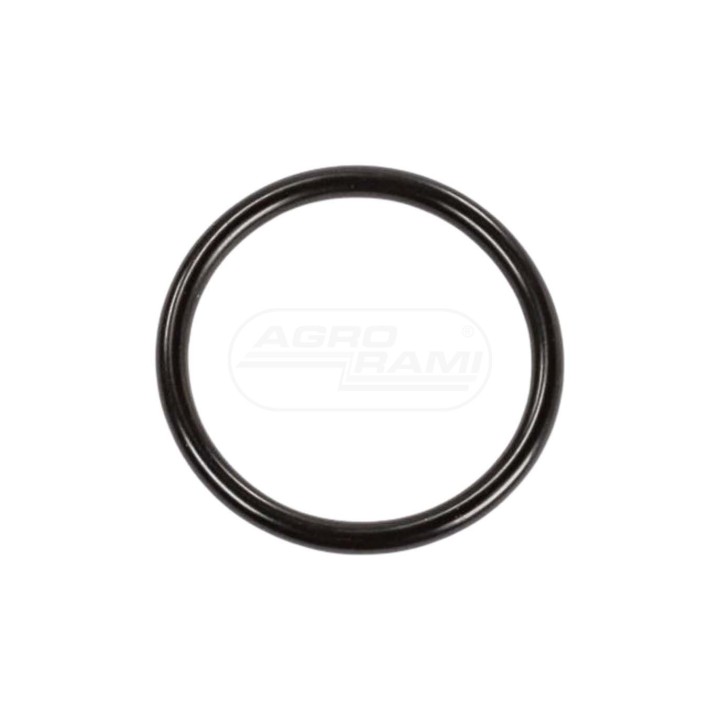 O-ring 47547856 Case IH