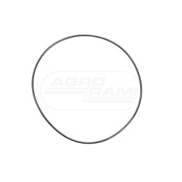 Oring B1818 V31791900