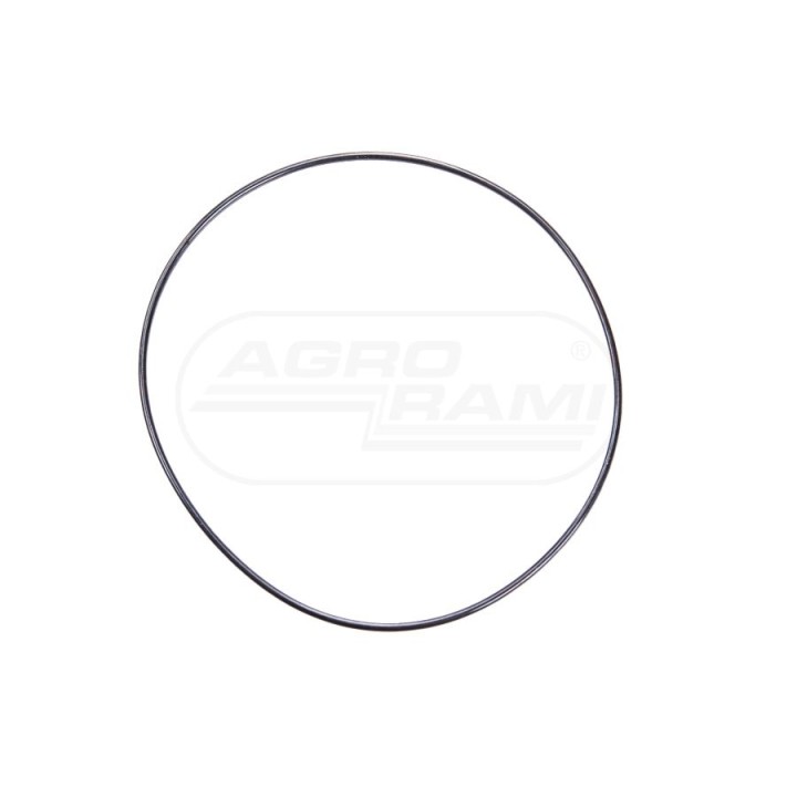 Oring B1818 V31791900