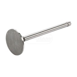 Zawór ssący PWLA001-S-0-0 1007014W1