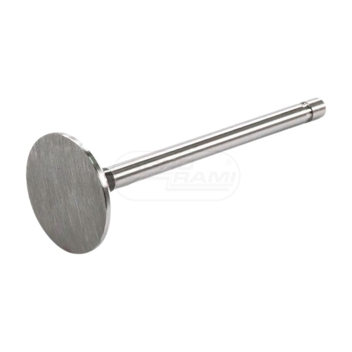 Zawór ssący PWLA001-S-0-0 1007014W1
