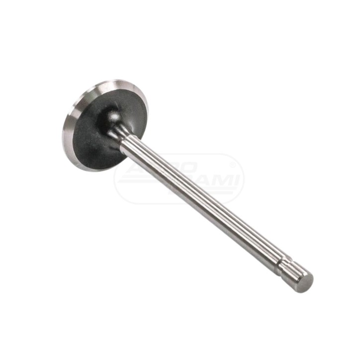 Zawór ssący PWLA001-S-0-0 1007014W1