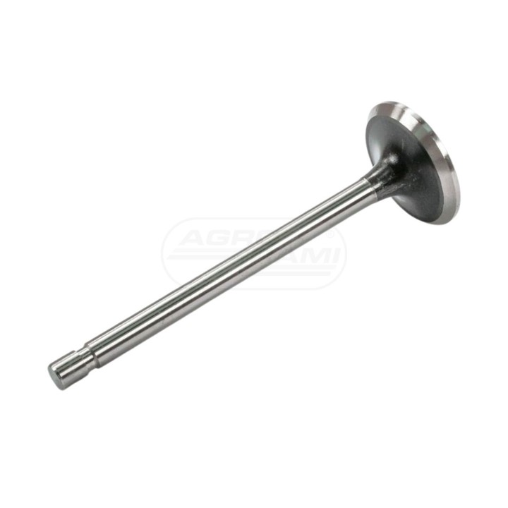 Zawór ssący PWLA001-S-0-0 1007014W1