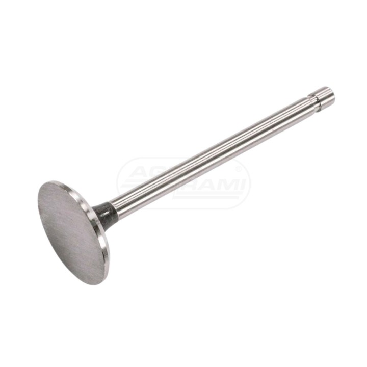 Zawór ssący PWLA001-S-0-0 1007014W1