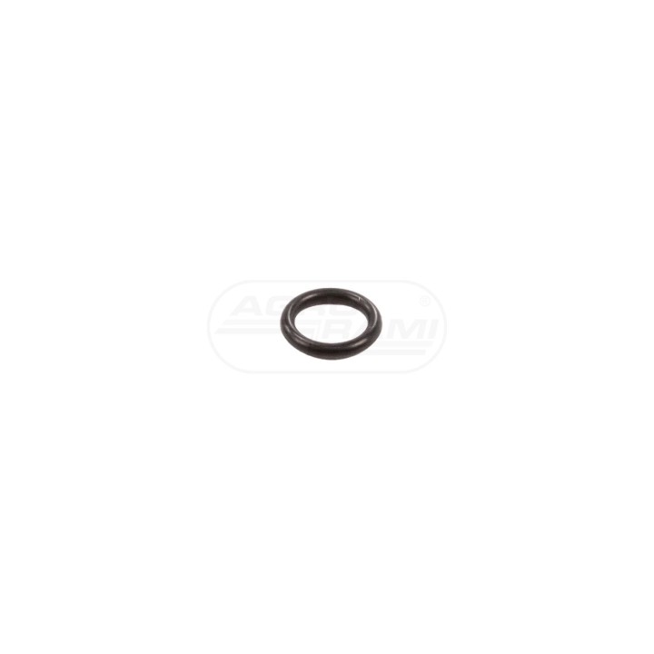 O-ring 83927549, 81179C1, E1NN7R526AA McCormick