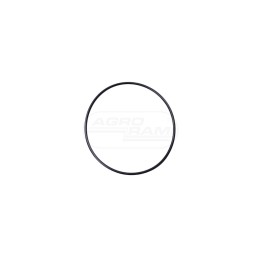 Pierścień oring 359109X1