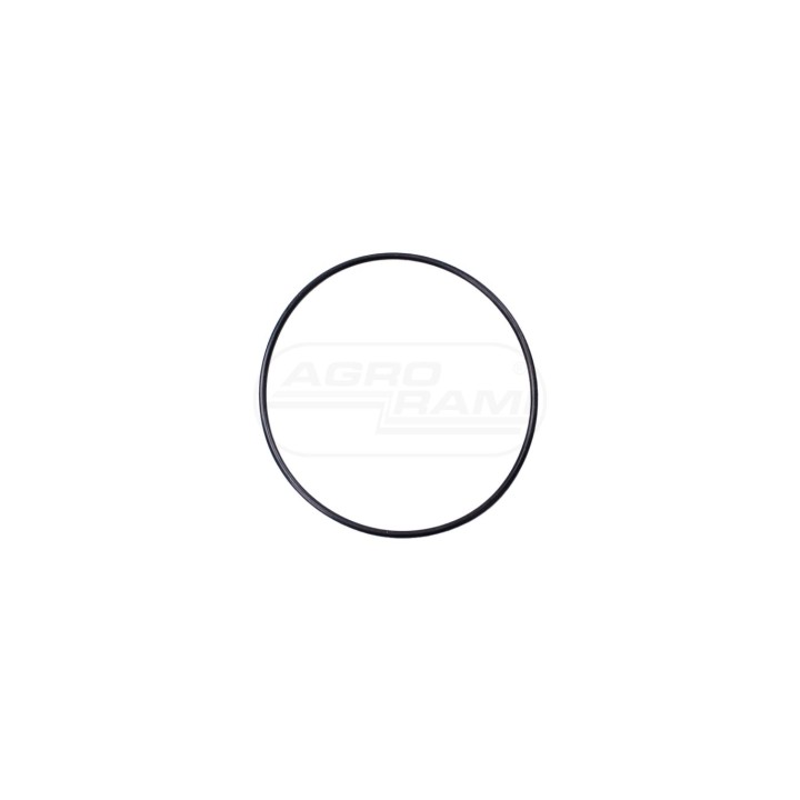 Pierścień oring 359109X1