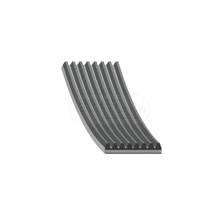 Pasek wielorowkowy  29074 febi