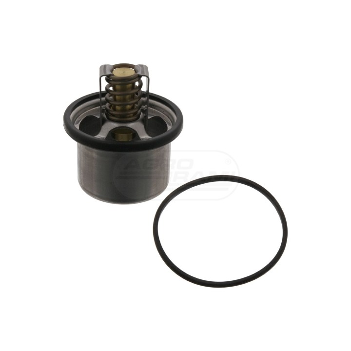 Termostat z pierścieniem uszczelniającym 11495 febi