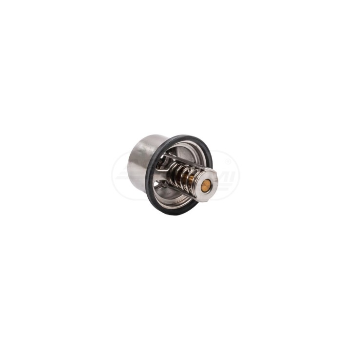 Termostat z pierścieniem uszczelniającym 11495 febi