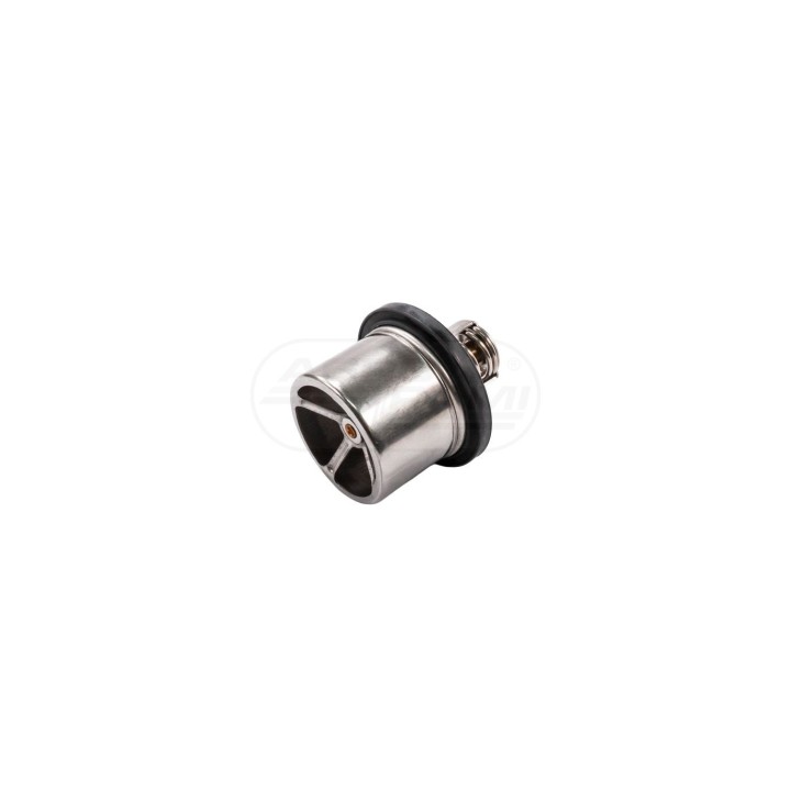 Termostat z pierścieniem uszczelniającym 11495 febi