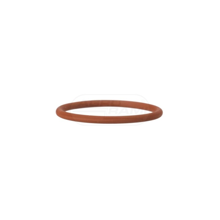 O-ring 17278781, 2852519 Case IH