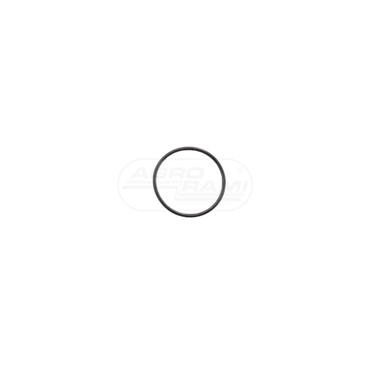 O-RING 47548036 Case IH