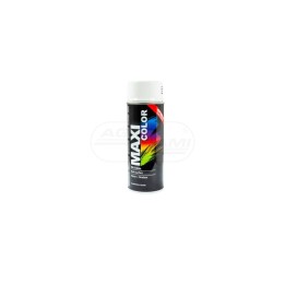 Farba MAXI COLOR RAL 9003 biały MM9003