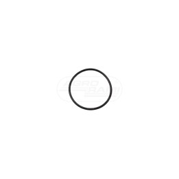 O-RING 83904858FP FLEETPRO CNH